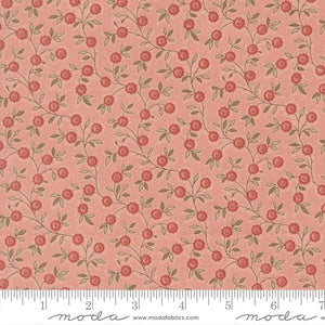 Fleur De Paris Topiare Florals Vines M13995 16 Pale Rose - By French General