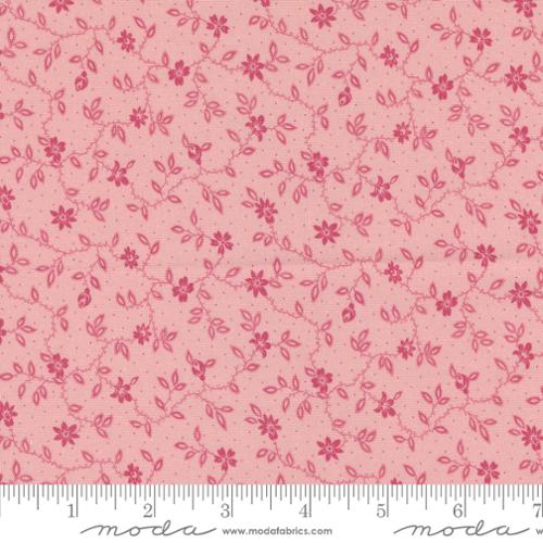 Goodnight Irene by Betsy Chutchian Blossom Florals Vines Blush 31705-19