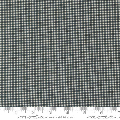 Goodnight Irene by Betsy Chutchian Checkers Checks and Plaids Gingham Graphite 31709-17