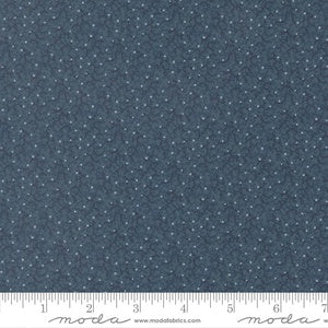 Pamelia's Path 1850-1880 Brambles Blenders Indigo M47557 19 By Betsy Chutchian