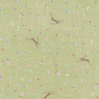 Slow and Steady DV7427