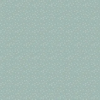 Slow and Steady DV7435