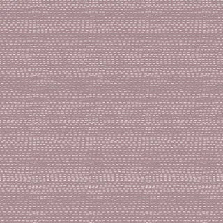 Slow and Steady DV7439