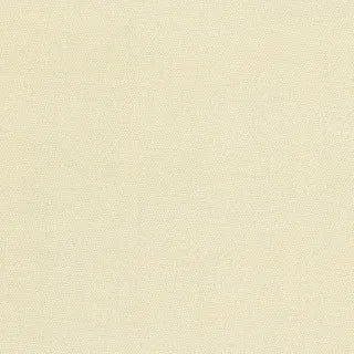 Petra Prins Collection Pin Dot PP1503 Ivory