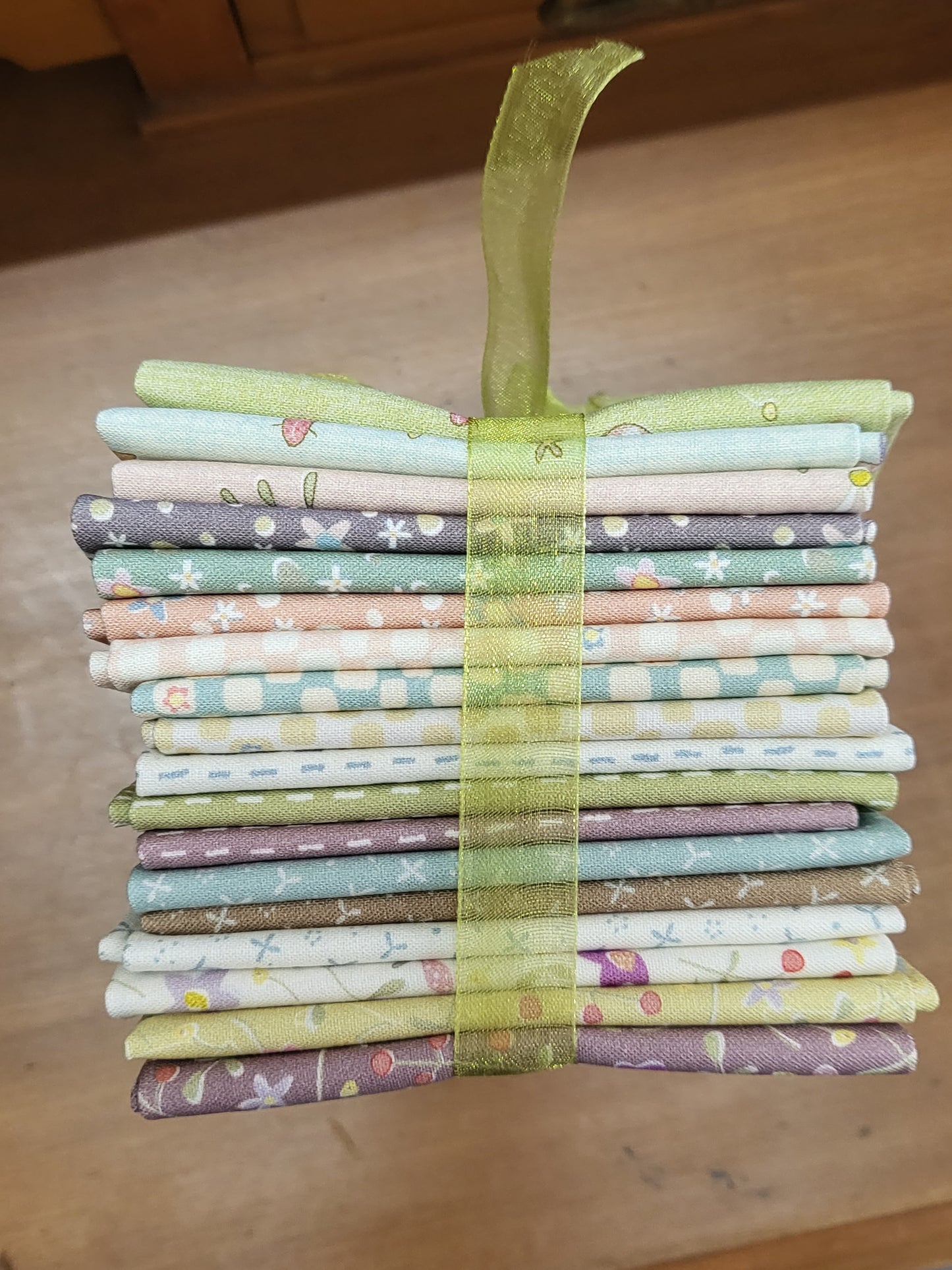 Slow and Steady Fat 1/8 Bundle - Anni Downs