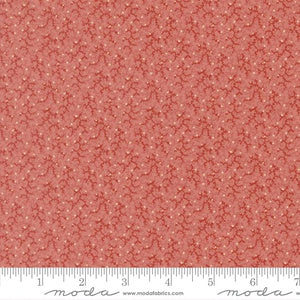 Pamelia's Path 1850-1880 Brambles Blenders Pink M47557 17 By Betsy Chutchian