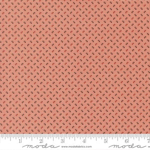 Pamelia's Path 1850-1880 Hopscotch Checks and Plaids Blenders Madder Red M47559 13 By Betsy Chutchian