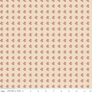 Jane Austen Sense and Sensibility C12828-Middleton