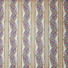 Barnsley Narrow Border Dutch Heritage DHer2061-1