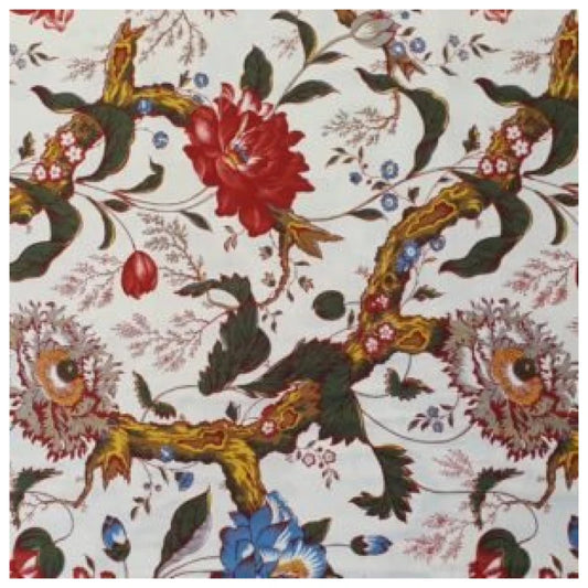 Dutch Heritage DHER1060 Anne Varley