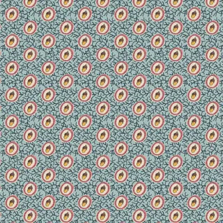 Acorn Gatherer DV5861