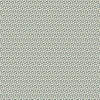 Acorn Gatherer DV5869