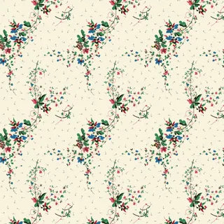 Peasholme Green Nell DV7106