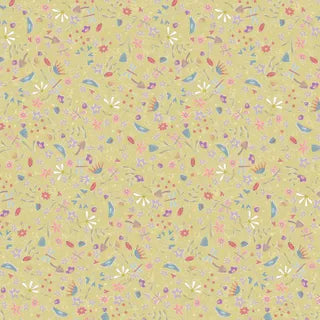 Slow and Steady DV7423