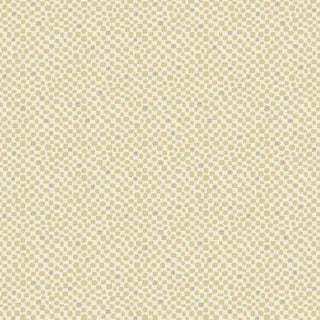 Slow and Steady DV7431