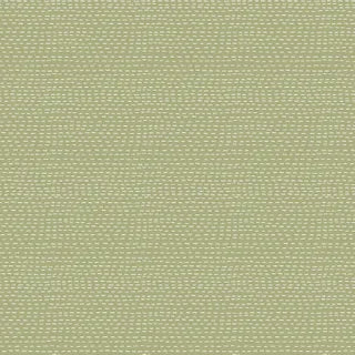 Slow and Steady DV7438