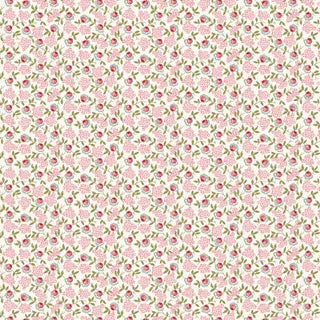 Darling Buds Of May DV7659