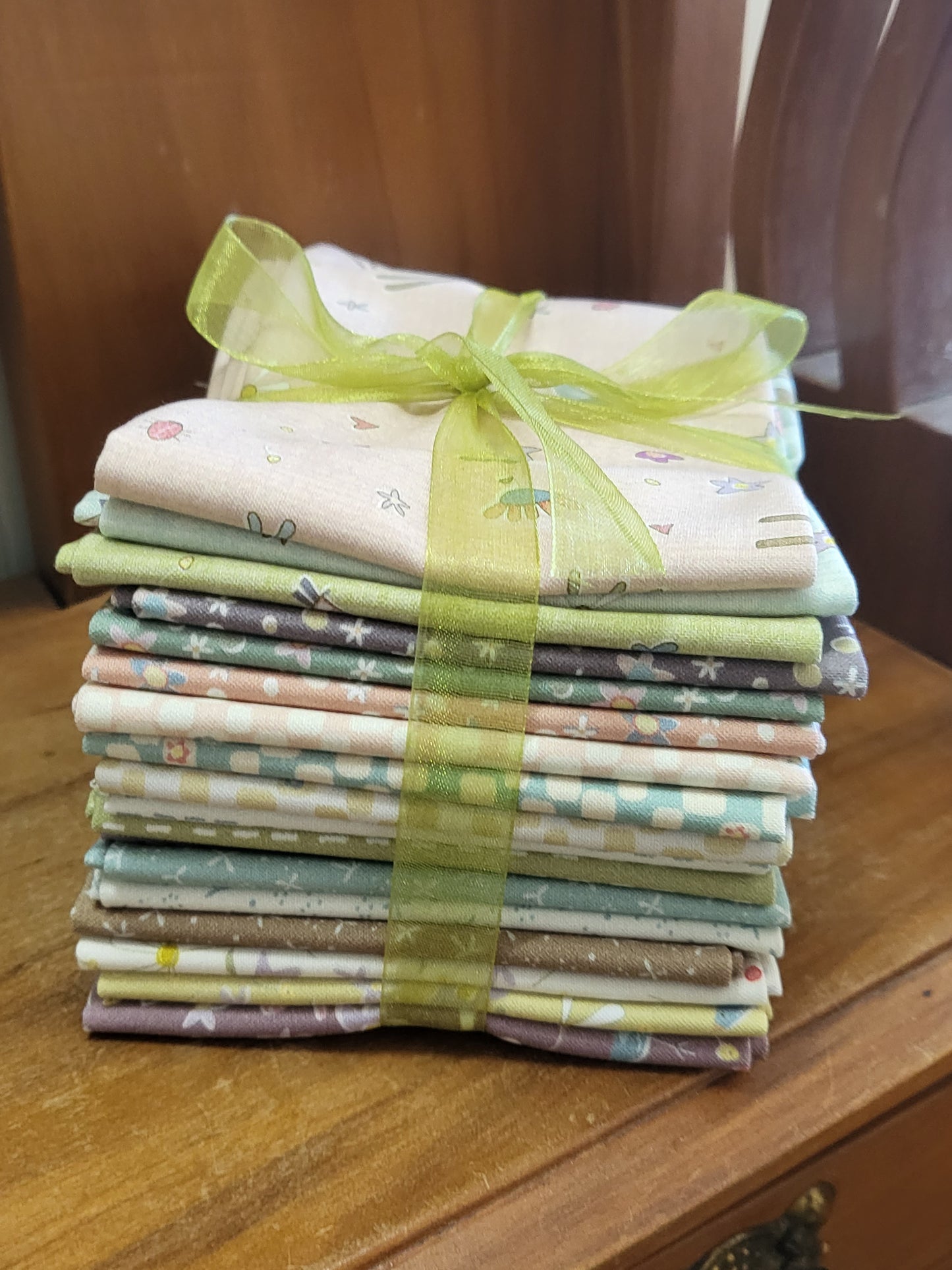 Slow and Steady Fat 1/8 Bundle - Anni Downs