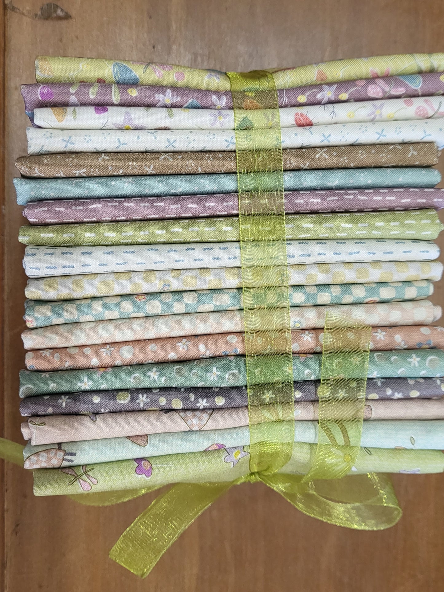 Slow and Steady Fat 1/4 Bundle - Anni Downs