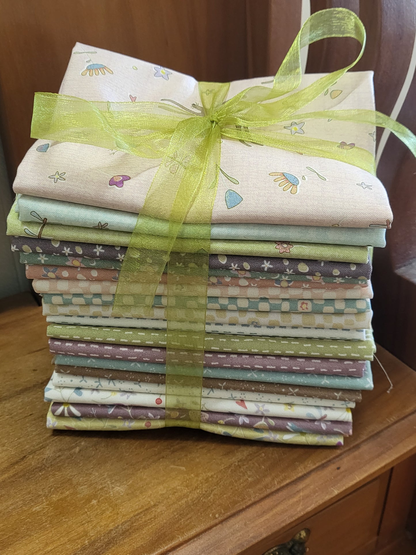 Slow and Steady Fat 1/4 Bundle - Anni Downs